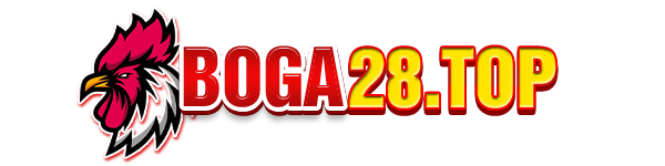 boga28.com